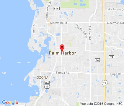 logo-image - PalmHarbor-FL